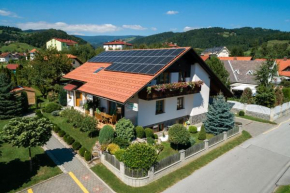 Zimzeleni Apartments Zreče